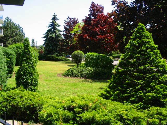 3089-Jaguar-Valley-Drive-Mississauga-apartments-for-rent-lease-rentals-listings-1-2-bedroom